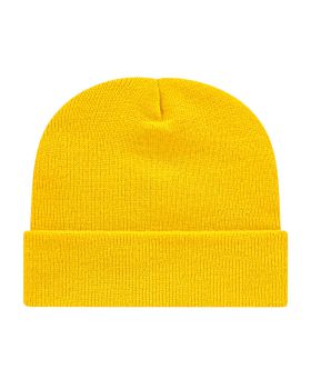 'BG1524C Knit Cap with Cuff'