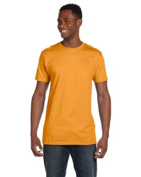 '4980-Pack2 Hanes Adult Nano Tee'