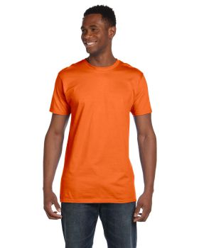 '4980-Pack2 Hanes Adult Nano Tee'