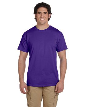 Hanes 5170 Adult EcoSmart T-Shirt 