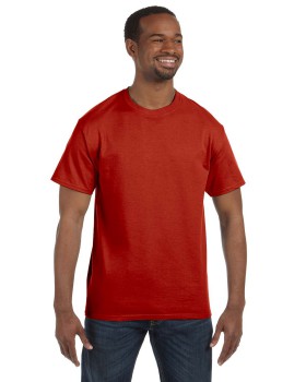 'Hanes 5250 Men's Tagless Shoulder-to-Shoulder Taping T-Shirt'