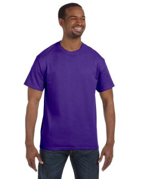 'Hanes 5250 Men's Tagless Shoulder-to-Shoulder Taping T-Shirt'