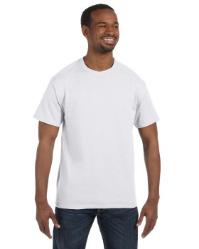 'Hanes 5250 Men's Tagless Shoulder-to-Shoulder Taping T-Shirt'
