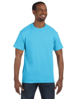 'Hanes 5250T Men's Authentic T T Shirt'