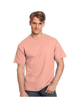 'Hanes 5250T Men's Authentic T T Shirt'