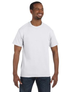 Hanes 5250T Men's Authentic T T Shirt
