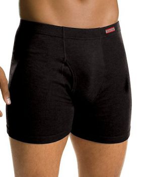 Hanes 7460VT Men's TAGLESS Boxer Briefs with ComfortSoft Waistband 2-Pac ...