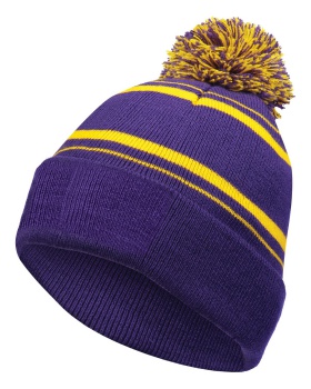 'Holloway 223860 Homecoming beanie'