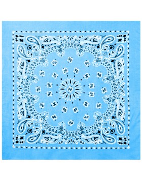 'Rothco 4349 Trainmen Paisley Bandana'