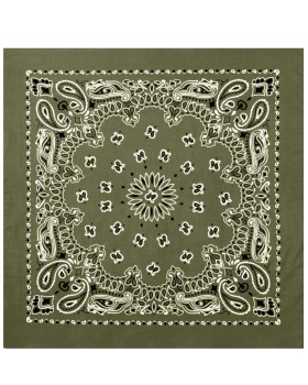 'Rothco 4349 Trainmen Paisley Bandana'