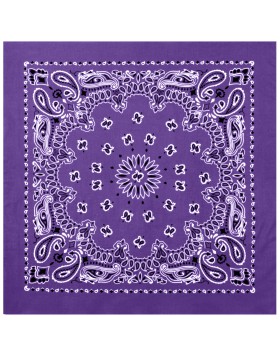 'Rothco 4349 Trainmen Paisley Bandana'