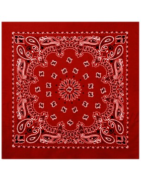 'Rothco 4349 Trainmen Paisley Bandana'