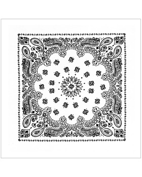 'Rothco 4349 Trainmen Paisley Bandana'