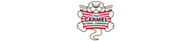 'Carmel Towel Company'