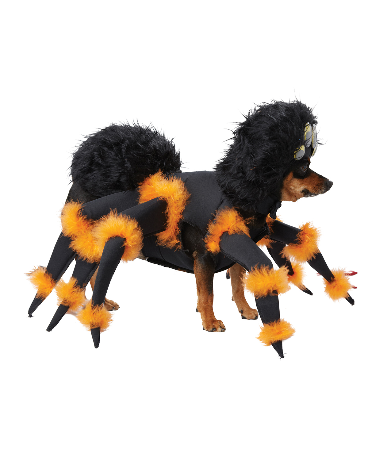 Dog Costumes Spider